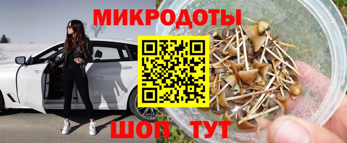 Галлюциногенные грибы GOLDEN TEACHER  Вход с VPN  Галлюциногенные грибы мицелий  Славянск-на-Кубани 