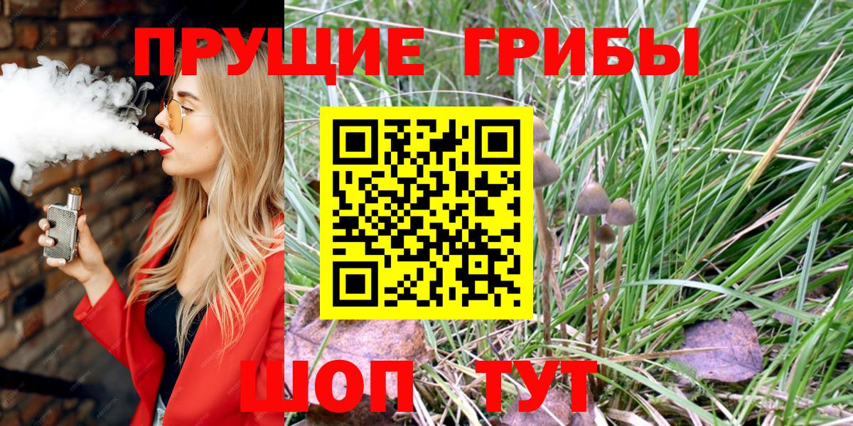 Псилоцибиновые грибы GOLDEN TEACHER Славянск-на-Кубани